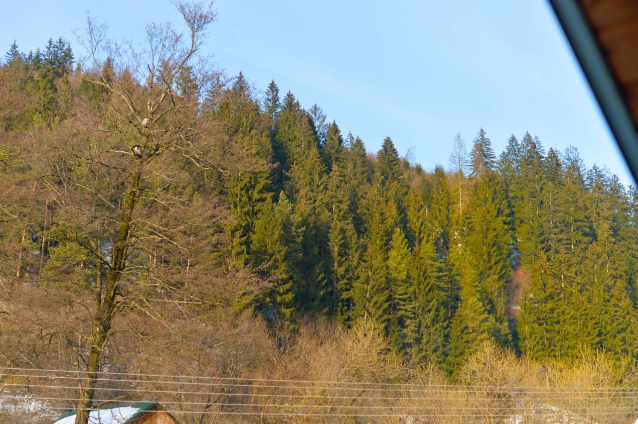 Садиба Between Mountains Mizhhirya  Zewnętrze zdjęcie