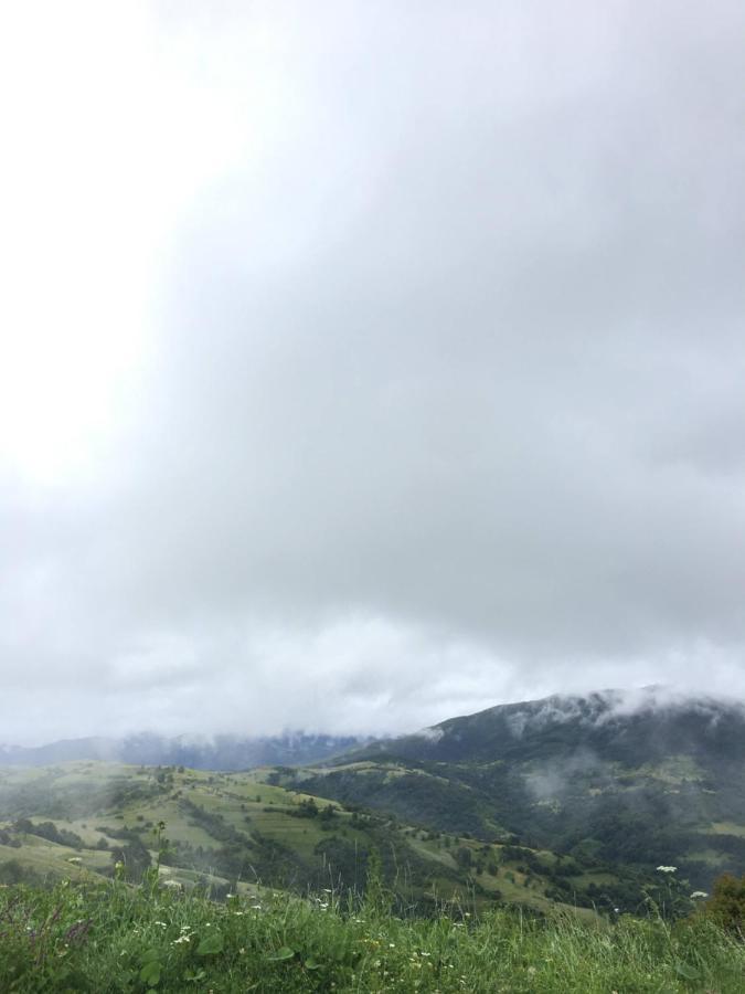 Садиба Between Mountains Mizhhirya  Zewnętrze zdjęcie