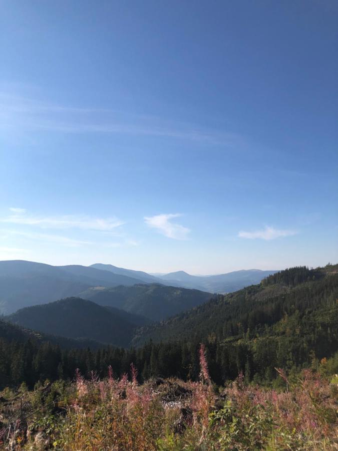 Садиба Between Mountains Mizhhirya  Zewnętrze zdjęcie