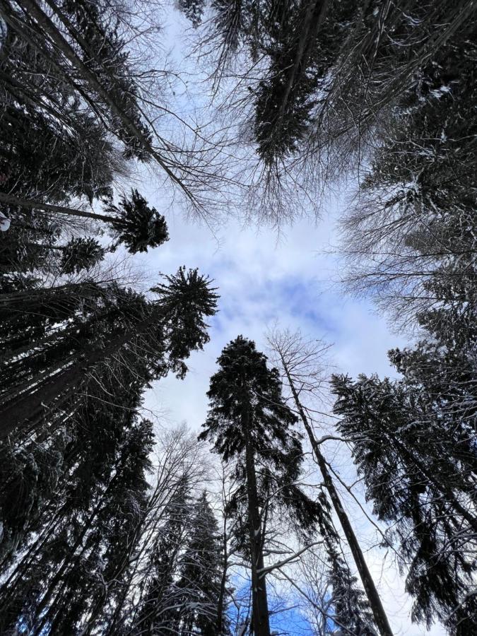 Садиба Between Mountains Mizhhirya  Zewnętrze zdjęcie