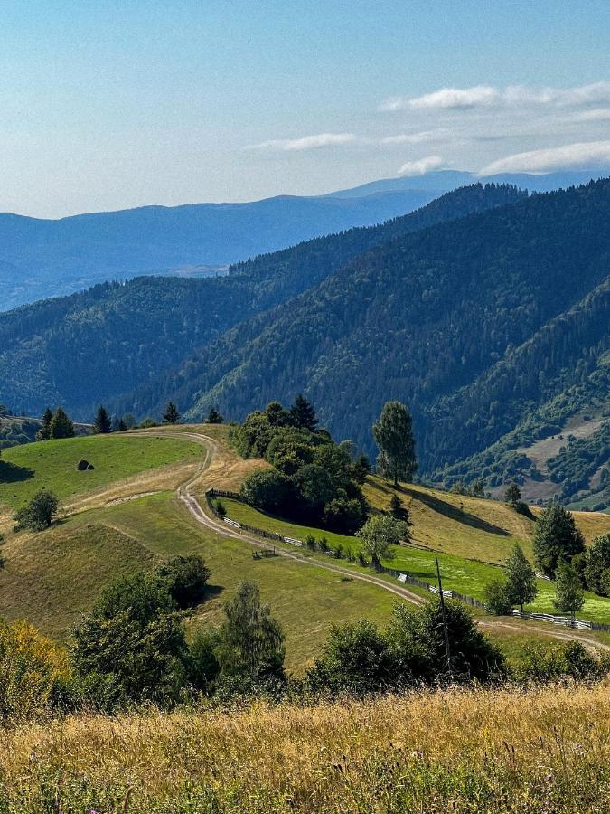 Садиба Between Mountains Mizhhirya  Zewnętrze zdjęcie