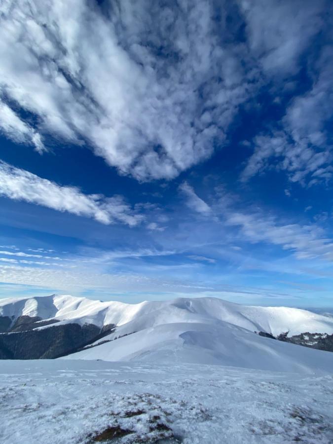 Садиба Between Mountains Mizhhirya  Zewnętrze zdjęcie