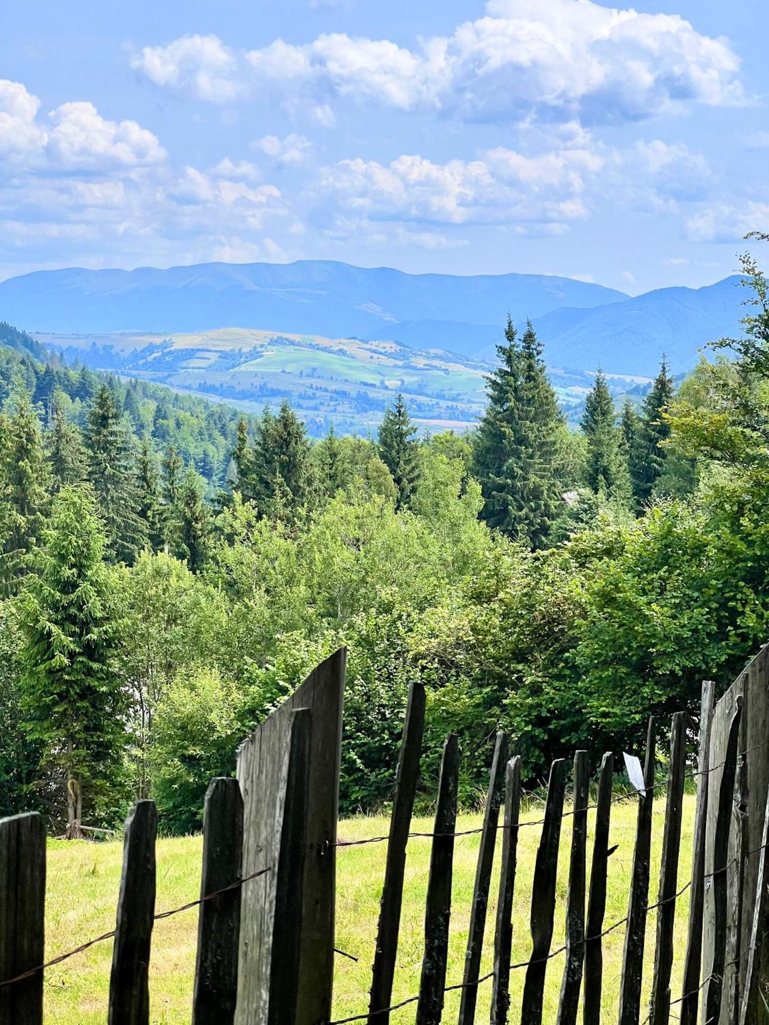 Садиба Between Mountains Mizhhirya  Zewnętrze zdjęcie