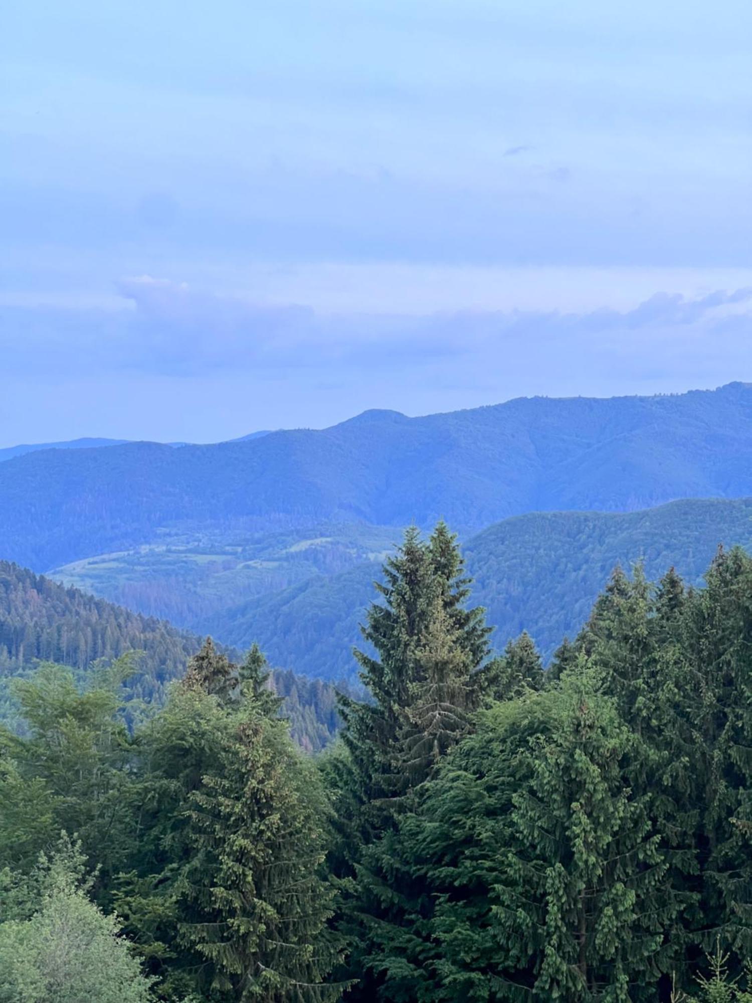 Садиба Between Mountains Mizhhirya  Zewnętrze zdjęcie