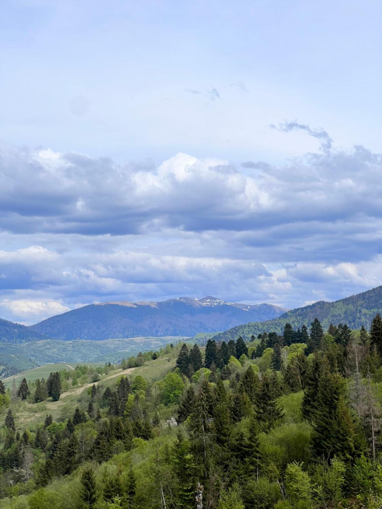 Садиба Between Mountains Mizhhirya  Zewnętrze zdjęcie